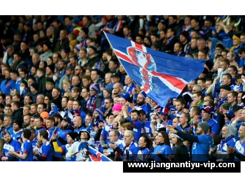 冰岛球员集体照:北极之光闪耀欧洲赛场 冰岛球员集体照:北极之光闪耀欧洲赛场