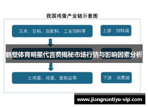 鹤壁体育明星代言费揭秘市场行情与影响因素分析